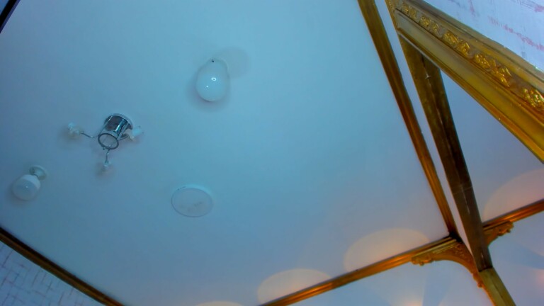 ZaraVega's Streamate show and profile