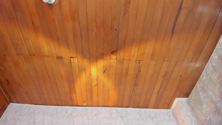 aylacallowey's Streamate show and profile