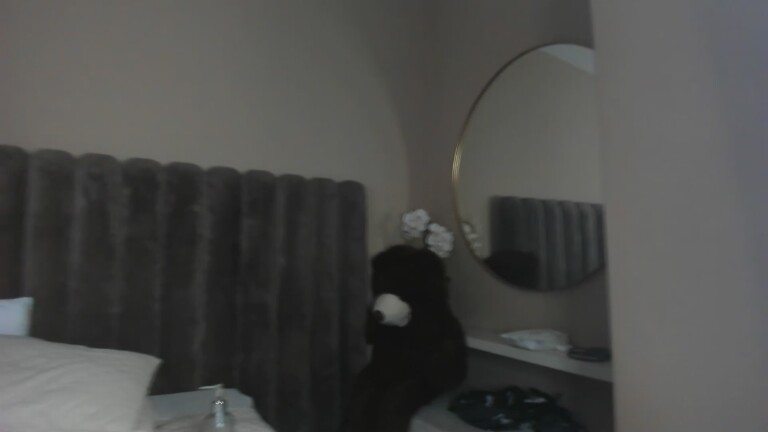 AuraRosse's Streamate show and profile