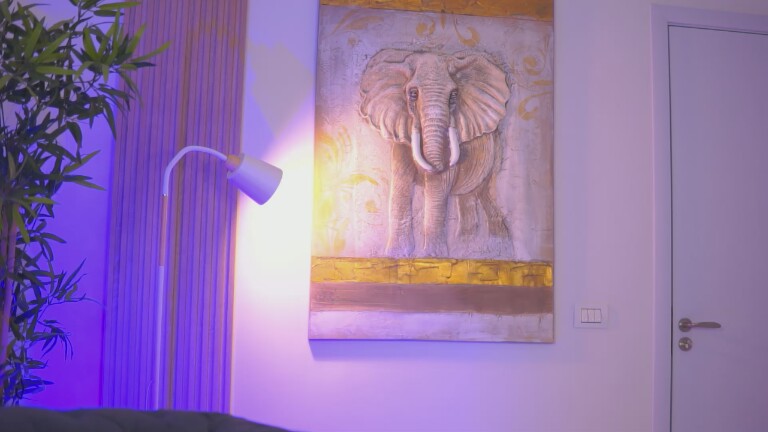 BlackClover_X's Streamate show and profile