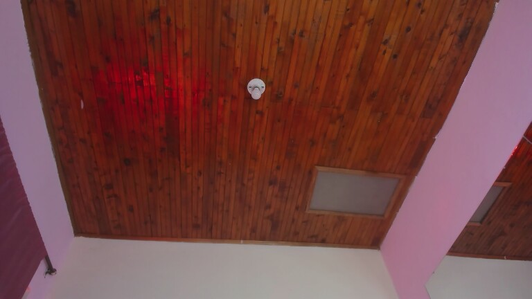 MeganDangelo's Streamate show and profile