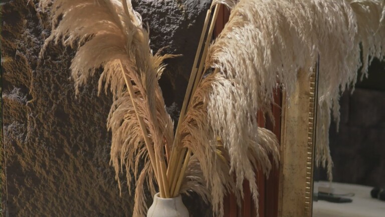 EmaMalkova's Streamate show and profile